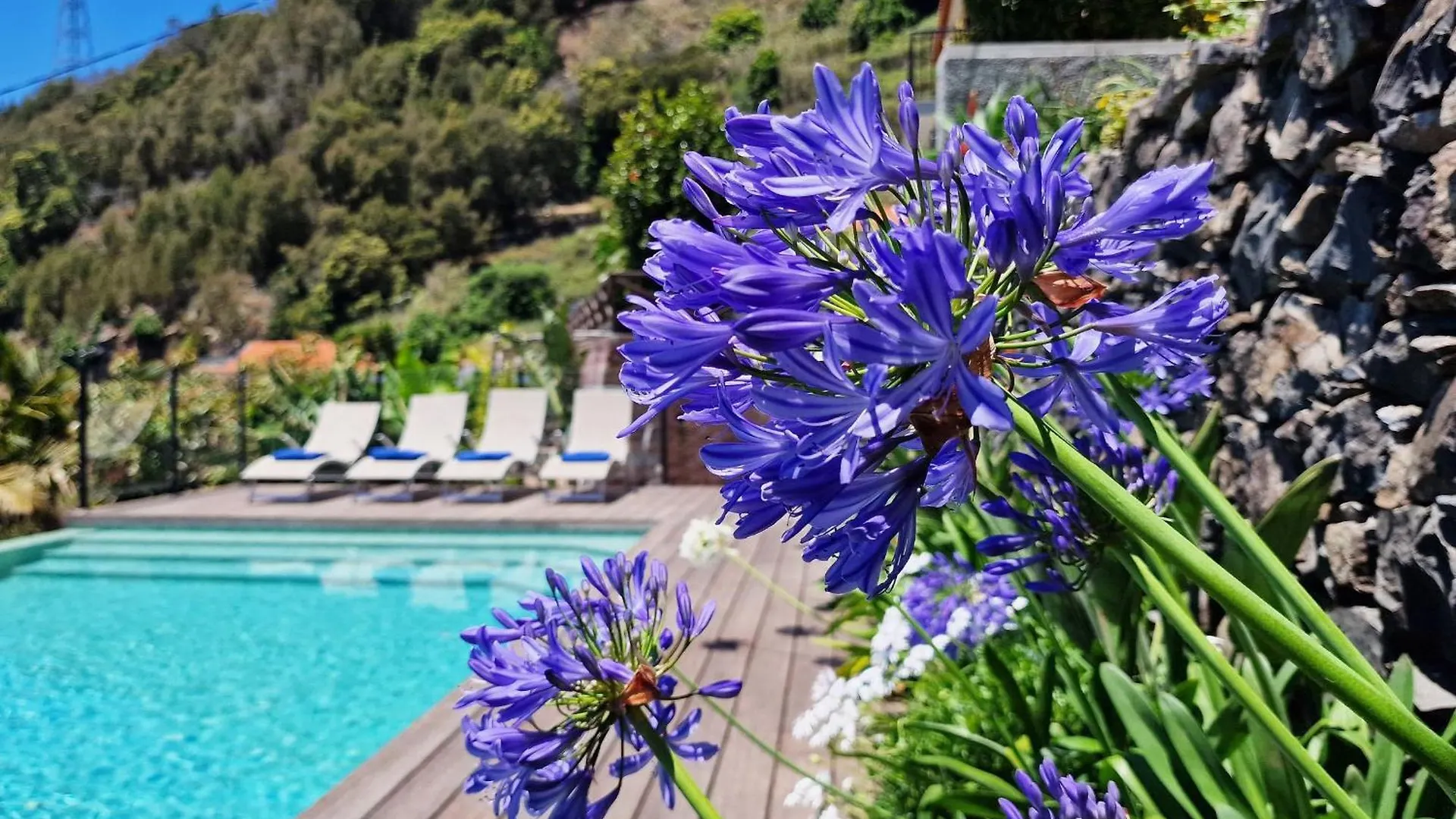 Casa Da Laranja By Lovelystay Ribeira Brava Portugal
