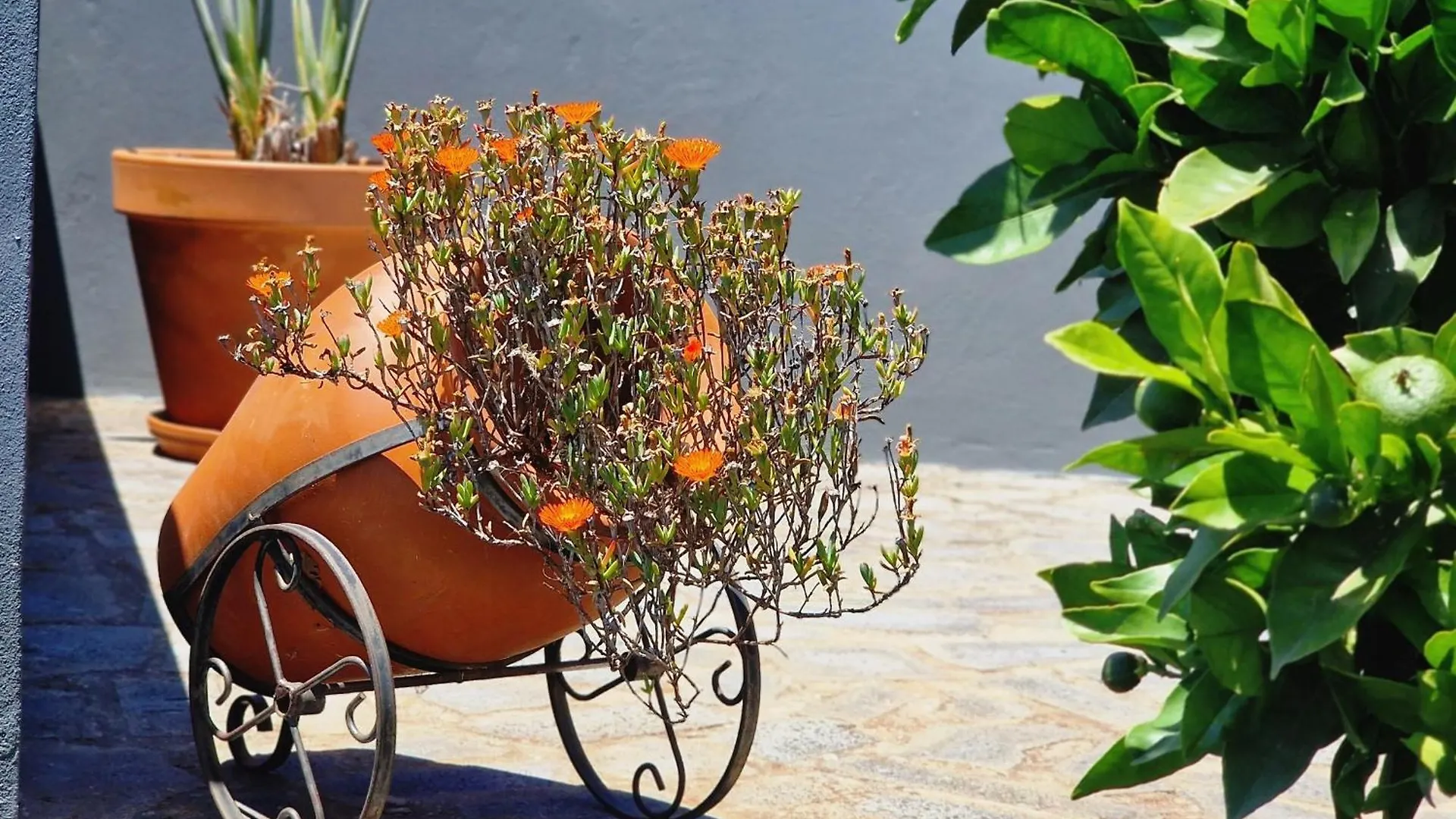 Casa Da Laranja By Lovelystay Ribeira Brava