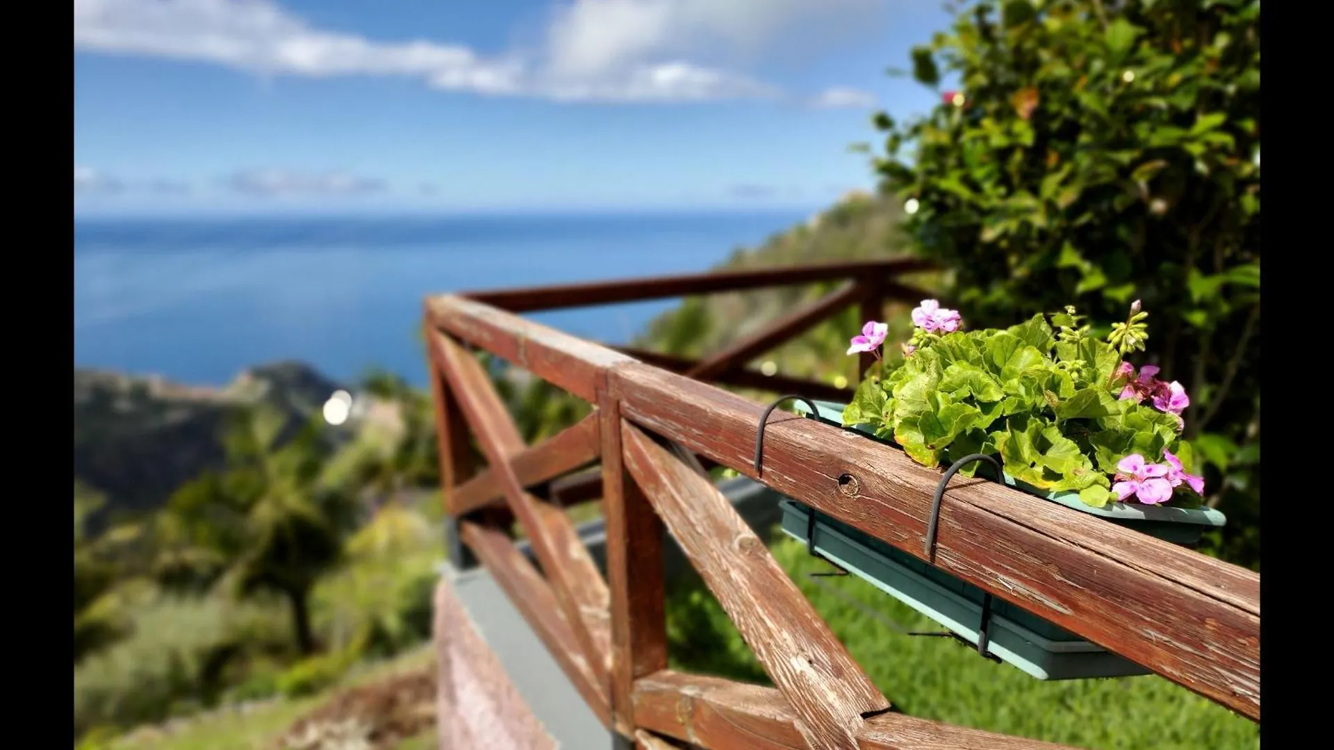 Casa Da Laranja By Lovelystay Ribeira Brava Portugal
